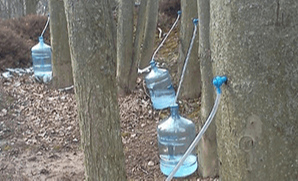 water Freedom system